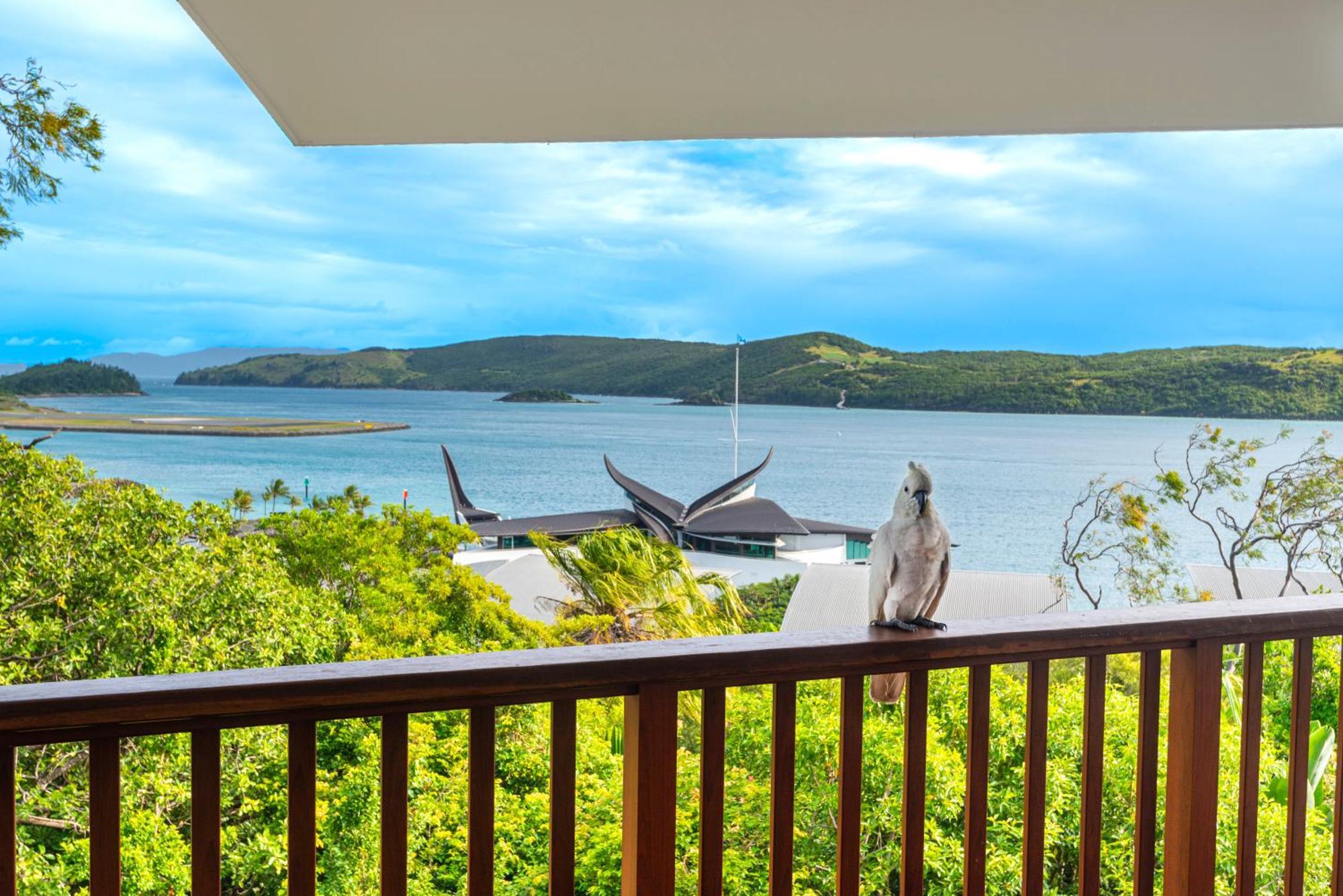 Casuarina Cove On Hamilton Island By Hiha Apartment Екстериор снимка